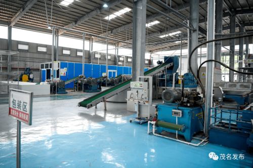 莊悅?cè)赫{(diào)研茂名農(nóng)墾工作 推動墾地在新發(fā)展階段深度融合發(fā)展